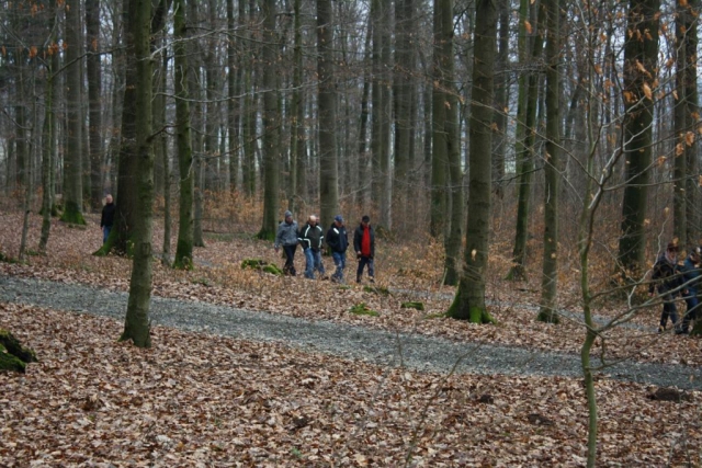 Neuenheerse_2017_45