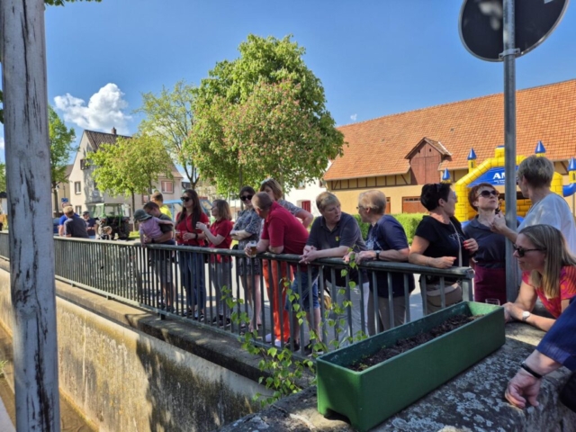 Maifest_2025 (11)