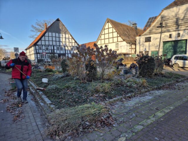 Beetpflege (2)